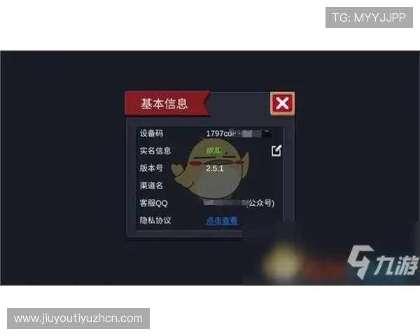 九游正规网址查询方法与安全验证技巧，保障玩家在正规平台上的游戏权益